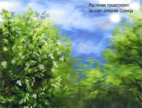 Космос. Школьный путеводитель Космос. Школьный путеводитель