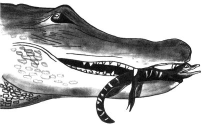 Истоки морали. В поисках человеческого у приматов Истоки морали. В поисках человеческого у приматов