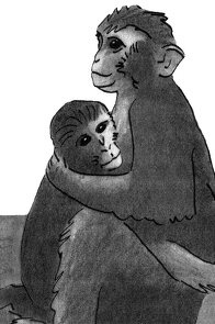 Истоки морали. В поисках человеческого у приматов Истоки морали. В поисках человеческого у приматов