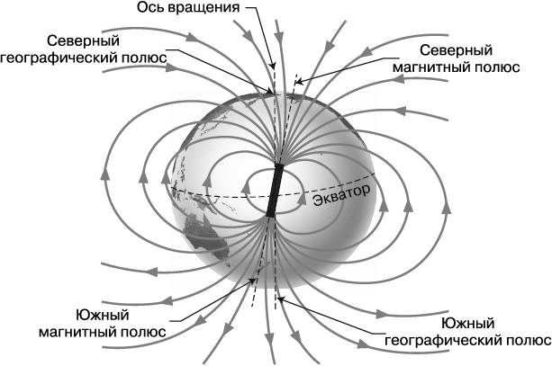 Жизнь на грани. Ваша первая книга о квантовой биологии Жизнь на грани. Ваша первая книга о квантовой биологии