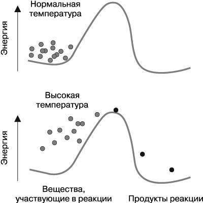 Жизнь на грани. Ваша первая книга о квантовой биологии Жизнь на грани. Ваша первая книга о квантовой биологии
