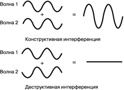 Жизнь на грани. Ваша первая книга о квантовой биологии Жизнь на грани. Ваша первая книга о квантовой биологии