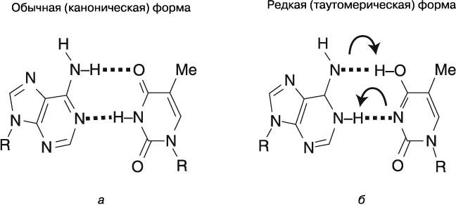 Жизнь на грани. Ваша первая книга о квантовой биологии Жизнь на грани. Ваша первая книга о квантовой биологии