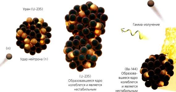 Мир в ореховой скорлупке Мир в ореховой скорлупке