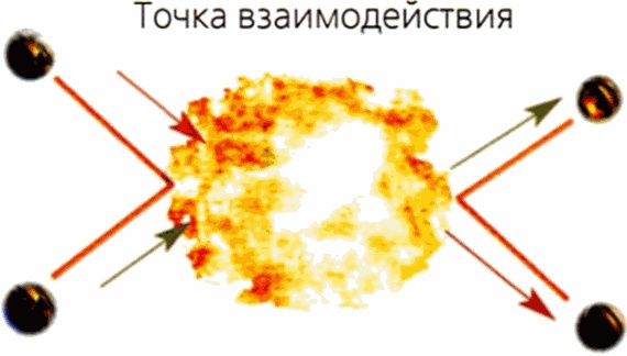 Мир в ореховой скорлупке Мир в ореховой скорлупке