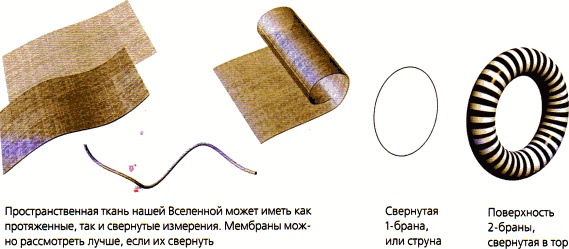 Мир в ореховой скорлупке Мир в ореховой скорлупке