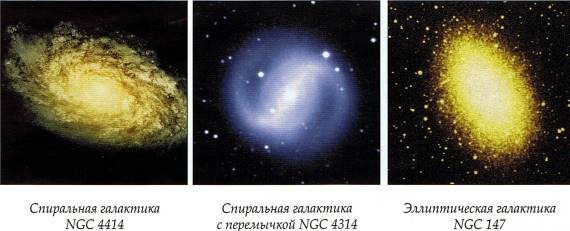 Мир в ореховой скорлупке Мир в ореховой скорлупке