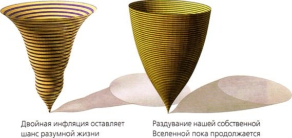 Мир в ореховой скорлупке Мир в ореховой скорлупке