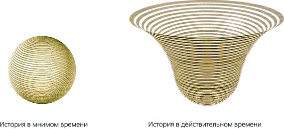 Мир в ореховой скорлупке Мир в ореховой скорлупке