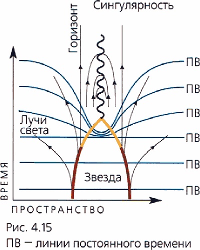 Мир в ореховой скорлупке Мир в ореховой скорлупке