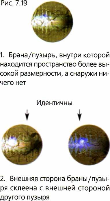 Мир в ореховой скорлупке Мир в ореховой скорлупке