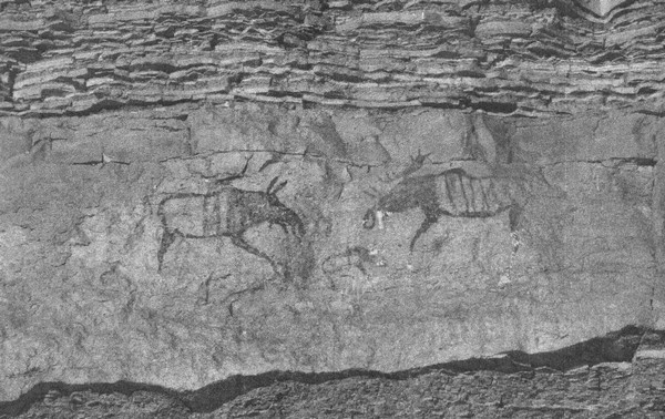 Летающие жирафы, мамонты-блондины, карликовые коровы... От палеонтологических реконструкций к предсказаниям будущего Земли Летающие жирафы, мамонты-блондины, карликовые коровы... От палеонтологических реконструкций к предсказаниям будущего Земли