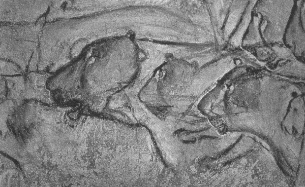 Летающие жирафы, мамонты-блондины, карликовые коровы... От палеонтологических реконструкций к предсказаниям будущего Земли Летающие жирафы, мамонты-блондины, карликовые коровы... От палеонтологических реконструкций к предсказаниям будущего Земли