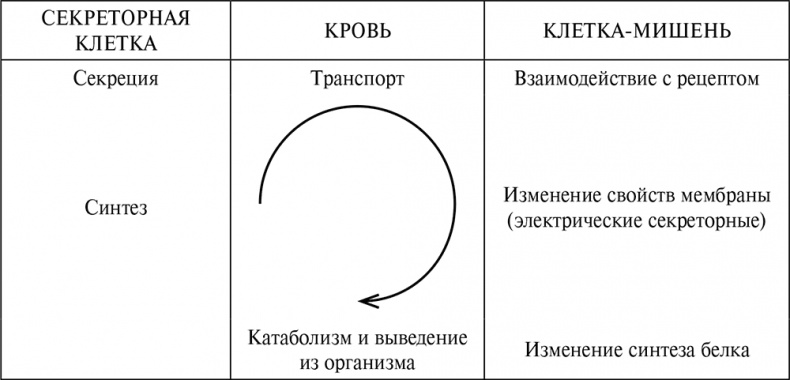 Стой, кто ведет? Биология поведения человека и других зверей Стой, кто ведет? Биология поведения человека и других зверей