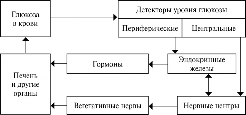 Стой, кто ведет? Биология поведения человека и других зверей Стой, кто ведет? Биология поведения человека и других зверей