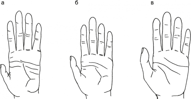 Достающее звено. Книга 1. Обезьяна и все-все-все Достающее звено. Книга 1. Обезьяна и все-все-все