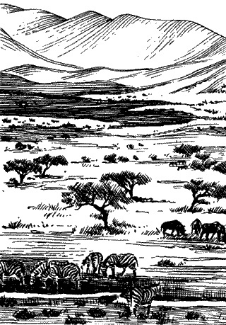 Непослушное дитя биосферы. Беседы о поведении человека в компании птиц, зверей и детей Непослушное дитя биосферы. Беседы о поведении человека в компании птиц, зверей и детей