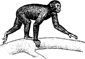 Непослушное дитя биосферы. Беседы о поведении человека в компании птиц, зверей и детей Непослушное дитя биосферы. Беседы о поведении человека в компании птиц, зверей и детей
