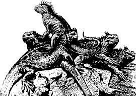 Непослушное дитя биосферы. Беседы о поведении человека в компании птиц, зверей и детей Непослушное дитя биосферы. Беседы о поведении человека в компании птиц, зверей и детей