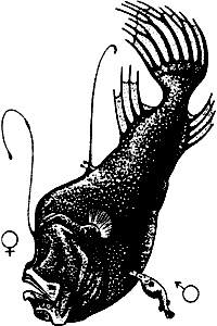 Непослушное дитя биосферы. Беседы о поведении человека в компании птиц, зверей и детей