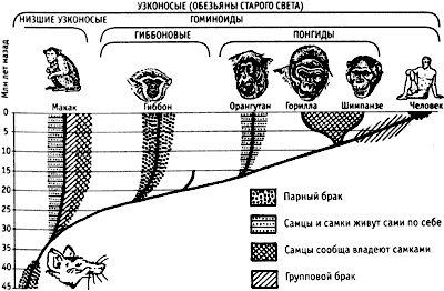 Непослушное дитя биосферы. Беседы о поведении человека в компании птиц, зверей и детей Непослушное дитя биосферы. Беседы о поведении человека в компании птиц, зверей и детей