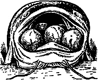 Непослушное дитя биосферы. Беседы о поведении человека в компании птиц, зверей и детей Непослушное дитя биосферы. Беседы о поведении человека в компании птиц, зверей и детей
