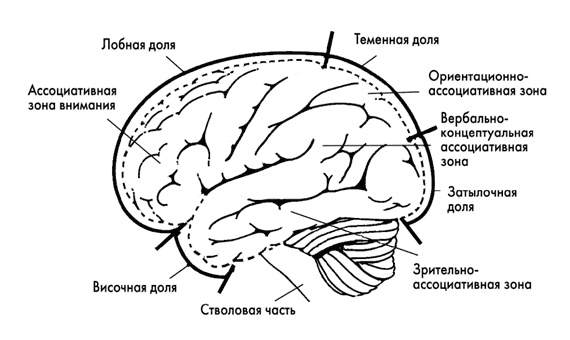 Тайна Бога и наука о мозге. Нейробиология веры и религиозного опыта Тайна Бога и наука о мозге. Нейробиология веры и религиозного опыта