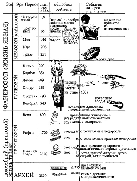 Эволюция для всех, или Путь кентавра Эволюция для всех, или Путь кентавра