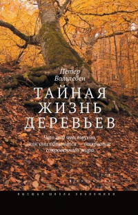Тайная жизнь деревьев. Что они чувствуют, как они общаются? Открытие сокровенного мира - Петер Вольлебен - Читать книги онлайн | Слушать аудиокниги онлайн | Электронная библиотека books-lib.com