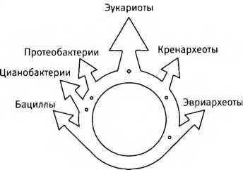 Лестница жизни. Десять великих изобретений эволюции