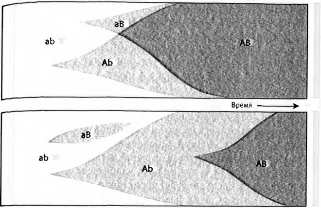 Лестница жизни. Десять великих изобретений эволюции Лестница жизни. Десять великих изобретений эволюции