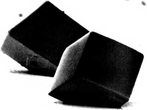 Лестница жизни. Десять великих изобретений эволюции Лестница жизни. Десять великих изобретений эволюции