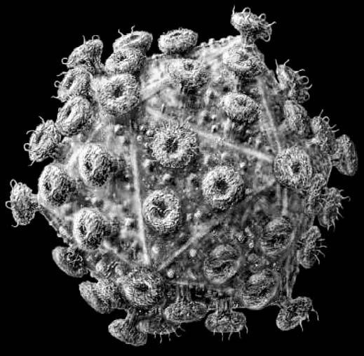 Удивительная генетика