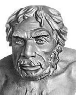 Удивительная генетика Удивительная генетика