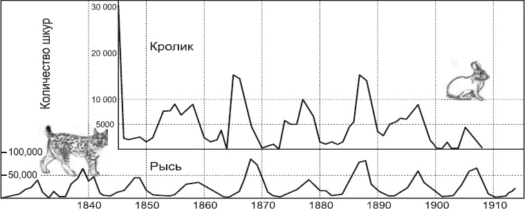 Закон "джунглей". В поисках формулы жизни Закон "джунглей". В поисках формулы жизни