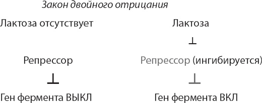 Закон "джунглей". В поисках формулы жизни Закон "джунглей". В поисках формулы жизни
