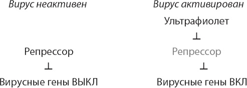 Закон "джунглей". В поисках формулы жизни Закон "джунглей". В поисках формулы жизни