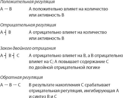 Закон "джунглей". В поисках формулы жизни Закон "джунглей". В поисках формулы жизни