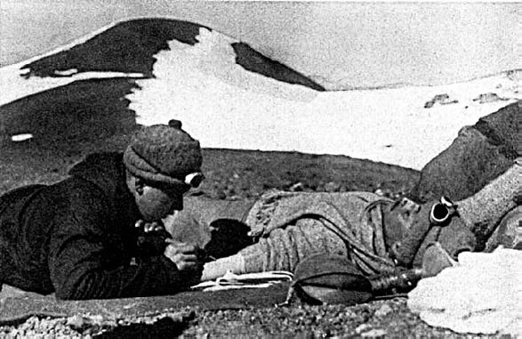 Закон "джунглей". В поисках формулы жизни Закон "джунглей". В поисках формулы жизни