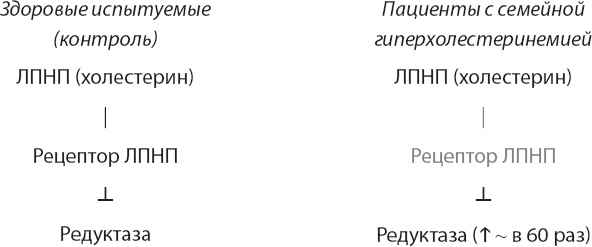 Закон "джунглей". В поисках формулы жизни Закон "джунглей". В поисках формулы жизни