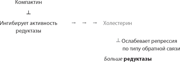 Закон "джунглей". В поисках формулы жизни Закон "джунглей". В поисках формулы жизни