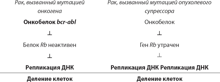 Закон "джунглей". В поисках формулы жизни Закон "джунглей". В поисках формулы жизни