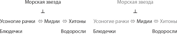 Закон "джунглей". В поисках формулы жизни Закон "джунглей". В поисках формулы жизни