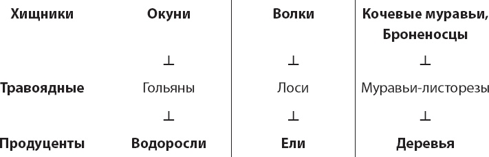 Закон "джунглей". В поисках формулы жизни Закон "джунглей". В поисках формулы жизни