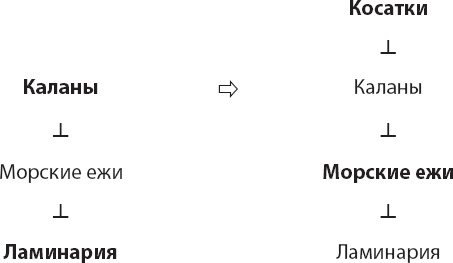 Закон "джунглей". В поисках формулы жизни Закон "джунглей". В поисках формулы жизни