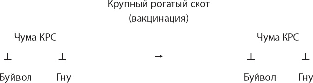 Закон "джунглей". В поисках формулы жизни Закон "джунглей". В поисках формулы жизни