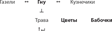 Закон "джунглей". В поисках формулы жизни Закон "джунглей". В поисках формулы жизни