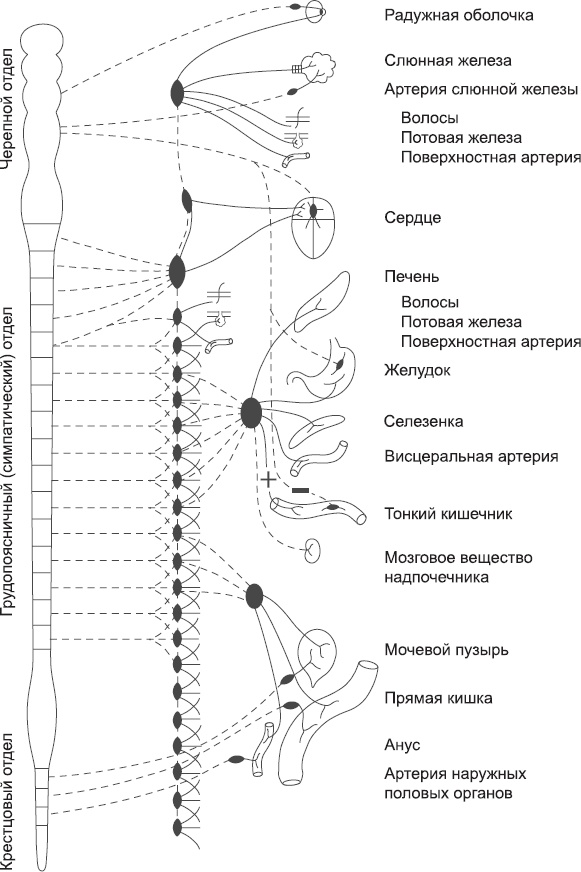 Закон "джунглей". В поисках формулы жизни Закон "джунглей". В поисках формулы жизни