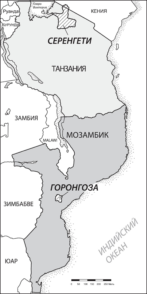 Закон "джунглей". В поисках формулы жизни Закон "джунглей". В поисках формулы жизни