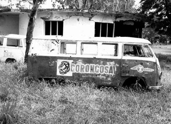 Закон "джунглей". В поисках формулы жизни Закон "джунглей". В поисках формулы жизни